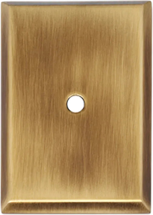 Backplate A610