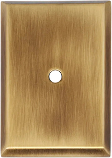 Backplate A610