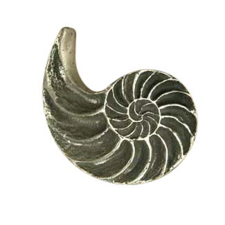Nautilus Knob 169-1
