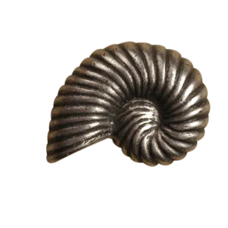 Nautilus Knob 173-1