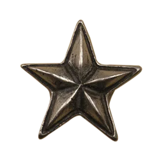Star-Lg Knob 200