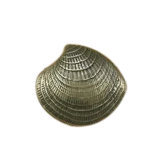 Lg. Clam Shell Knob 2222