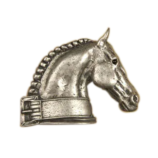 Dressage Horse-Rt Knob 417