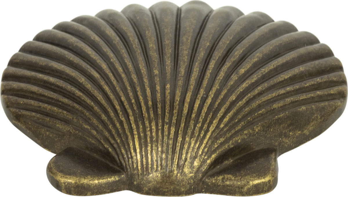Nautical/Ocean Clamshell Knob 2''