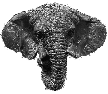 Goliath (Elephant) Cup Pull