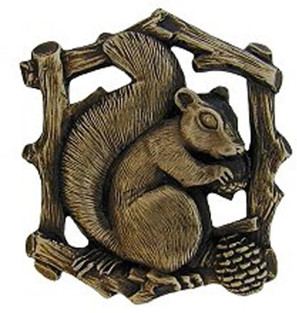 Grey Squirrel Knob NOH-NHK-177-AB-L