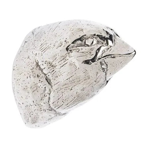 Grosbeak Cabinet Knob CK20393