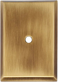 Backplate A610