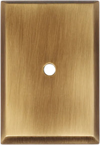 1 1/4'' x 1 7/8'' Backplate A610-14-AEM