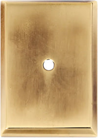 1 1/4'' x 1 7/8'' Backplate A610-14-PA