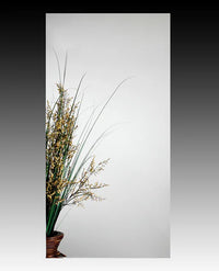1000 Series WHITE CABINET W/POLISHED MC11344-W