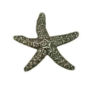 Starfish Knob 166-1