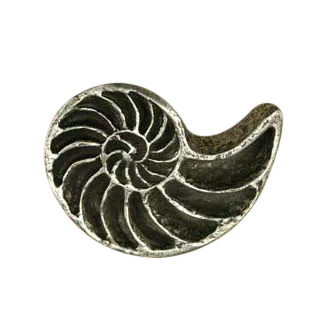 Nautilus Knob 168-1