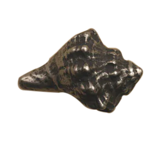 Conch Shell-Lg Knob 871