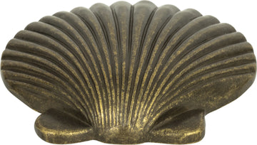 Nautical/Ocean Clamshell Knob 2''