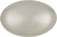 Williamsburg Collection Knob 1-1/4'' X 13/16'' Stainless Steel Finish P3054-SS