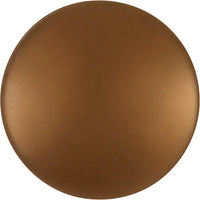 Metropolis Collection Knob 1'' Diameter Veneti Bronze Finish PA0213-VBZ