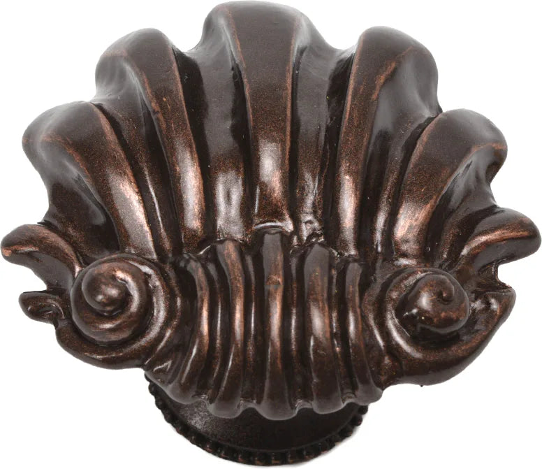 Aphrodite large shell knob 345