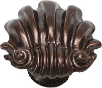 Aphrodite large shell knob 345