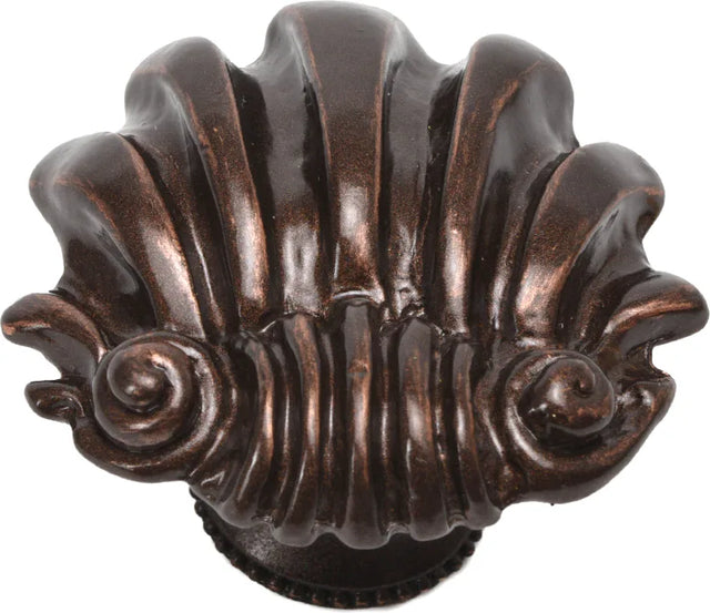 Aphrodite large shell knob 345