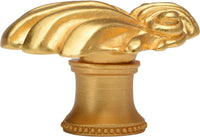 Aphrodite large shell knob 345-8