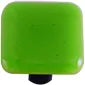Solid Collections Lt. Green Knob