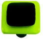 Border Collection Spring Green and Black Knob
