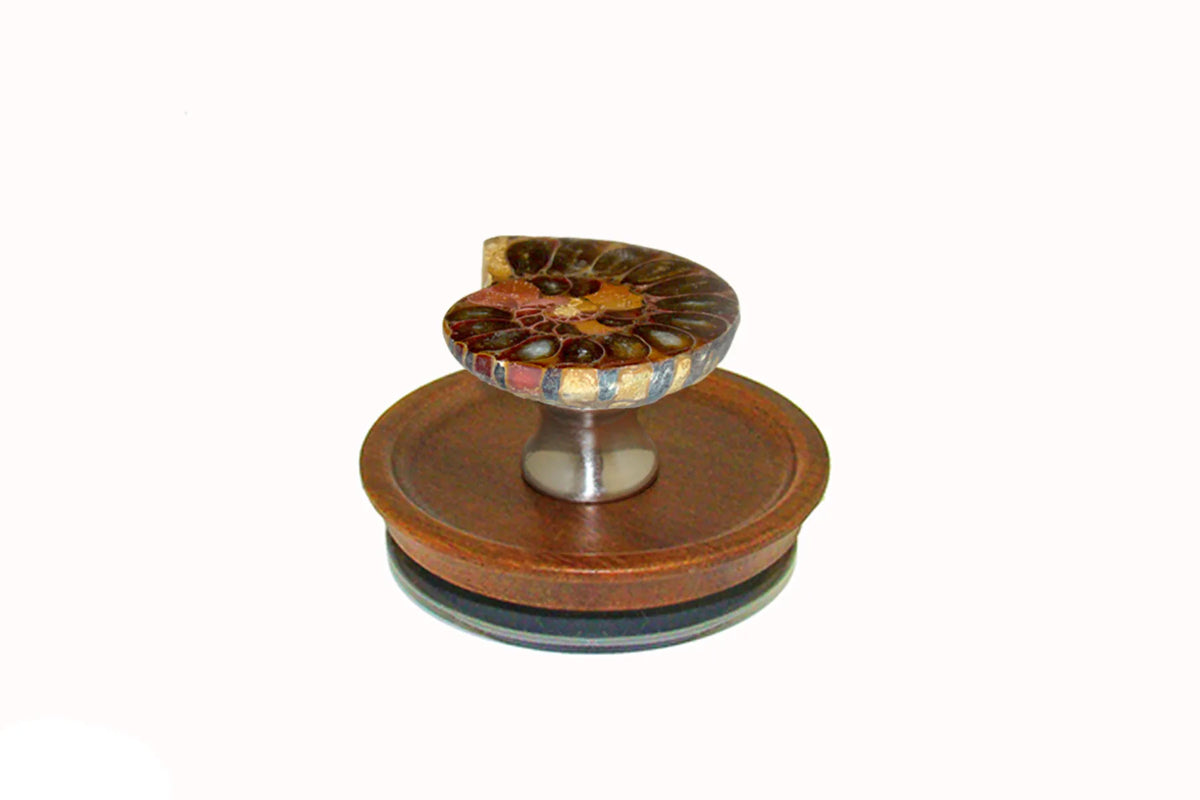 Ammonite Knob on Acacia Wooden Lid by Gemstone Hardware AMMO.L.15