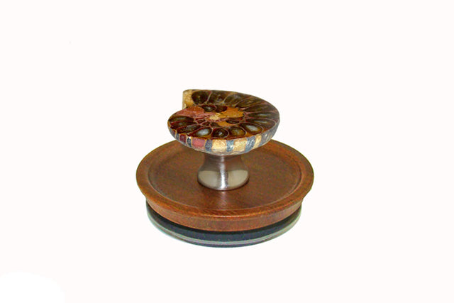 Ammonite Knob on Acacia Wooden Lid by Gemstone Hardware AMMO.L.15