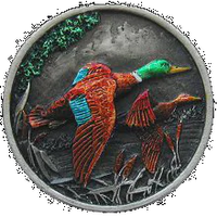 NOH-NHK-141-PHT