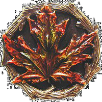 NOH-NHK-146-BHT