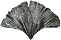 NOH-NHK-147-AP