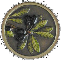 NOH-NHK-169-BHT
