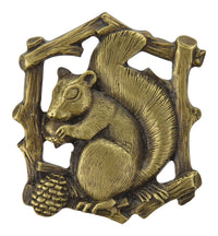Grey Squirrel Knob