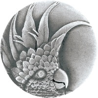 Cockatoo (Small - Left) Knob NOH-NHK-324-AP-L