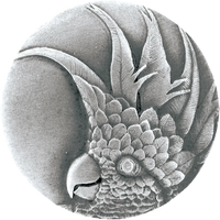 Cockatoo (Small - Left) Knob NOH-NHK-324-AP-R