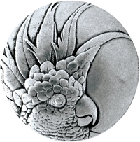Cockatoo (Small - Left) Knob NOH-NHK-324-BP-L