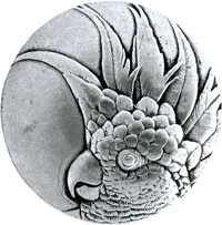 Cockatoo (Small - Left) Knob NOH-NHK-324-BP-R