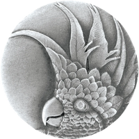 Cockatoo Knob NHK-327-L