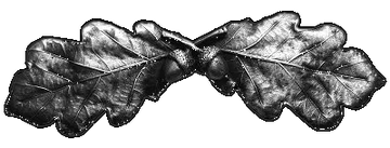 Oak Leaf Pull/Handle