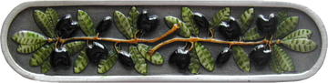NOH-NHP-669-PHT