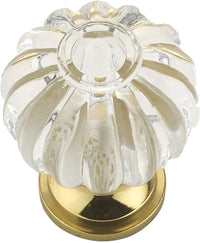 Montreuil Eclectic Acrylic and Metal Knob BP403511