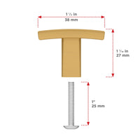 Padova Transitional Metal Knob BP65038158