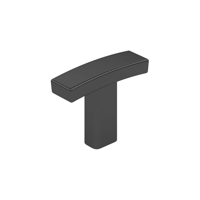 Padova Transitional Metal Knob BP65038900
