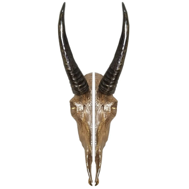 Goat Skull Pull – 5 1/16″ x 15″ G900
