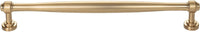Regent's Park Ulster Pull 8 13/16 Inch Honey Bronze TK3075HB