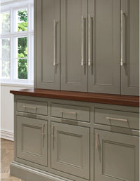 Regent's Park Clarence Pull 3 3/4 Inch Polished Nickel TK3112PN