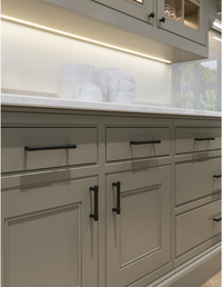 Regent's Park Clarence Pull 12 Inch Flat Black TK3117BLK