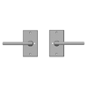Privacy Spring Latch